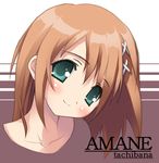  blush brown_hair canvas_(cocktail_soft) green_eyes kantoku lowres smile solo tachibana_amane 