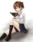  animal_on_arm bangs bird bird_on_arm black_legwear black_skirt brown_eyes brown_hair chiko_(kanhogo) kneehighs loafers long_sleeves looking_at_viewer neck_ribbon original red_ribbon ribbon school_uniform shoes sitting skirt smile socks solo updo 