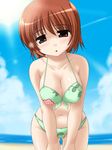  animated animated_gif beach bikini blinking breasts brown_eyes brown_hair cleavage cloud day kashimashi large_breasts osaragi_hazumu outdoors shikato_miyo short_hair sky solo swimsuit 