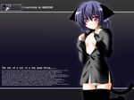  animal_ears artist_name black_legwear blue_panties cat_ears cat_tail dress_shirt engrish highres long_sleeves open_clothes open_shirt original otoki_raku panties ranguage shirt solo striped striped_panties tail thigh_gap thighhighs underwear wallpaper 