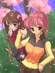  blush braid brown_eyes brown_hair can cherry_blossoms drink fence grass long_sleeves multiple_girls original pink_eyes pink_hair smile striped sweater tree tsujizen turtleneck twin_braids vest 