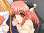  animal_ears cat_ears game_cg kin'youbi_no_koneko maaya_(kin'youbi_no_koneko) nekoneko red_hair solo tail 