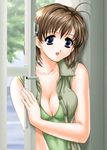  antenna_hair blue_eyes breasts brown_hair cleavage copyright_request door medium_breasts short_hair solo sweat vogue 