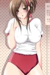  akizuki_sara blush breasts brown_hair buruma choco_chip covered_nipples double_vertical_stripe game_cg gym_uniform highres kateikyoushi_no_onee-san large_breasts mature ribbon solo 