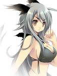  animal_ears bikini breasts brown_eyes cleavage grey_hair large_breasts long_hair midriff original sideboob solo swimsuit ta_kaana very_long_hair 