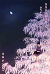  black_cat cat half_moon hits in_tree irie_io japanese_clothes kimono moon night original sky solo tree 