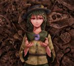  bad_id bad_pixiv_id face fetus fossil green_eyes green_hair hat heart komeiji_koishi kurione_(zassou) red_eyes short_hair solo touhou 