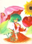  am24 ascot bad_id bad_pixiv_id crayon_(medium) green_hair kazami_yuuka parasol plaid plaid_skirt plaid_vest plant red_eyes short_hair skirt skirt_set smile smirk solo touhou traditional_media umbrella vest vines 