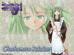  android artist_request broom cosplay green_eyes green_hair karakuri_chachamaru kohaku kohaku_(cosplay) long_hair long_sleeves mahou_sensei_negima! maid robot_ears solo tsukihime watermark 