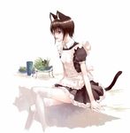  animal_ears cat_ears copyright_request es_(cah60700) maid petite solo tail thighhighs 