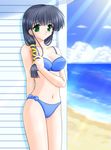  artist_request beach bikini black_hair comic_party day green_eyes hasebe_aya ocean outdoors sand solo swimsuit water 