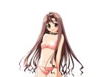  akata_itsuki bikini hime-sama_ririshiku! long_hair momi_chinaki solo swimsuit tachi-e transparent_background 