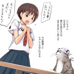  animal brown_eyes brown_hair cat flying_sweatdrops futaba_channel kibina_high_school_uniform kimi_kiss occhan open_mouth satonaka_narumi school_uniform short_hair solo translation_request yurikawa 