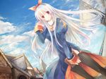  book cloud cross day duplicate latin_cross long_sleeves priest priest_(ragnarok_online) ragnarok_online ribbon sky solo thighhighs torisoboro_(twiddle) white_hair 