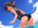  animal_ears artist_request cat_ears copyright_request double_vertical_stripe one-piece_swimsuit school_swimsuit solo swimsuit tail 