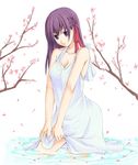  black_eyes branch cherry_blossoms duplicate fate/stay_night fate_(series) long_hair matou_sakura petals purple_hair skirt_hold solo unasaka_ryou wading water 