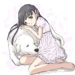  animal black_eyes black_hair blush dog dress full_body hair_ribbon kimidorin looking_at_viewer original ribbon simple_background sitting smile solo white_background white_dress yokozuwari 