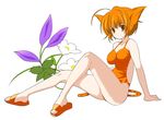  ahoge animal_ears arm_support breasts casual_one-piece_swimsuit cat_ears clog_sandals copyright_request floral_background flower full_body large_breasts one-piece_swimsuit orange_eyes orange_hair orange_swimsuit sandals shijou_sadafumi short_hair simple_background sitting solo swimsuit tail white_background 