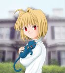  ahoge animal arcueid_brunestud blonde_hair building bush cat day holding long_sleeves melty_blood outdoors petting plant red_eyes shirt short_hair smile solo sweater tsukihime whiskers white_shirt 