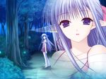  blue_eyes blue_hair forest game_cg half_updo high_heels long_hair lycoris_(shuffle!) miniskirt nature night outdoors pointy_ears shoes shuffle! skirt smile solo suzuhira_hiro thighhighs tick!_tack! tree very_long_hair white_legwear zettai_ryouiki zoom_layer 