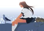  bangs bird brown_hair from_side kiriman_(souldeep) kneehighs long_hair ocean original outdoors profile school_uniform seagull serafuku short_sleeves sitting skirt solo upskirt white_legwear wind 