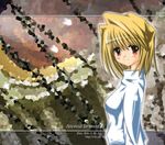  2003 arcueid_brunestud artist_request blonde_hair blush character_name dated from_side long_sleeves looking_at_viewer mosaic_background red_eyes short_hair smile solo sweater tsukihime upper_body 
