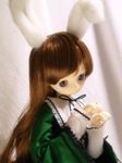  animal_ears heterochromia long_hair long_sleeves photo rozen_maiden solo suiseiseki 