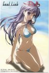  absurdres artist_request barefoot bikini breasts cleavage grey_hair hair_ribbon highres kneeling long_hair medium_breasts nagase_sayaka purple_eyes ribbon scan scan_artifacts solo soul_link swimsuit underboob very_long_hair wind 