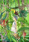  animal animal_on_head artist_request bare_arms bird bird_of_paradise bird_on_head blue_hair dress flower from_side jungle nature on_head original outdoors outline profile scenery sleeveless sleeveless_dress solo standing toucan tree tropical 
