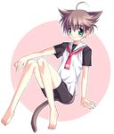  :3 animal_ears artist_request brown_hair cat_ears cat_tail catboy copyright_request male_focus otoko_no_ko school_uniform shorts solo tail 