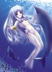  animal bikini copyright_request dolphin fish solo swimsuit underwater yamamoto_nori 