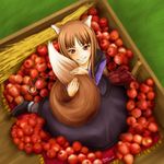  animal_ears apple dress food from_above fruit grin holo pillow red_eyes red_hair smile solo spice_and_wolf tail tricodelma wheat wolf_ears wolf_tail 