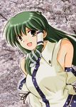  bare_shoulders brown_eyes detached_sleeves frog green_hair hair_ornament hana_(hana_mo_arashi_mo) kochiya_sanae long_hair open_mouth smile snake solo touhou 