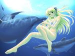  artist_request bikini blonde_hair blue_eyes dolphin freediving honami_yui long_hair long_legs non-web_source see_in_ao solo swimsuit underwater 