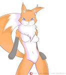  3_fingers blue_eyes breasts canid canine featureless_breasts featureless_crotch female fox fur hand_on_hip leokato looking_at_viewer mammal nude orange_fur pose simple_background smile solo standing white_background 