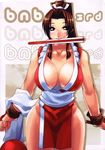  blush breasts brown_eyes brown_hair cleavage closed_fan cover cover_page doujinshi fan fatal_fury folding_fan large_breasts loincloth long_hair mouth_hold nek pelvic_curtain ponytail rope scan shiranui_mai snk solo the_king_of_fighters 