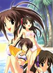  antenna_hair beach bikini blue_eyes brown_eyes brown_hair day futakoi highres ichijou_kaoruko ichijou_sumireko long_hair multiple_girls one_eye_closed outdoors ponytail sakurazuki_kira sakurazuki_yura sasaki_mutsumi siblings sisters swimsuit twins 