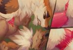  anthro anthro_on_anthro anthrofied arcanine balls blush brown_fur canid canine clitoris close-up comic dialogue duo eevee english_text erection female fur grimart hi_res humanoid_pussy long_ears looking_down lying male male/female mammal nintendo nude on_back open_mouth penetration penis pok&eacute;mon pok&eacute;mon_(species) pussy sex sharp_teeth size_difference spread_legs spreading tapering_penis teal_eyes teeth text thrusting vaginal vaginal_penetration video_games 