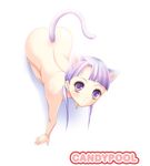  all_fours animal_ears back cat_ears long_hair lowres momoi_komomo nude original purple_eyes purple_hair solo tail 