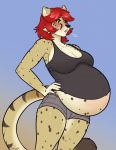  anthro blush clothed clothing felid feline female gradient_background hands_on_hips mammal open_mouth porin pregnant simple_background solo standing 