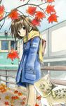  autumn autumn_leaves azusayumi backpack bag bamboo_fence bangs blush brown_eyes brown_hair cat clothes_writing coat copyright_request fence hands_in_pockets leaf long_hair long_sleeves looking_at_viewer maple_leaf pants scarf solo standing yellow_scarf 