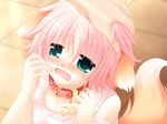  animal_ears bare_shoulders blush child collar dog_ears dog_tail fang game_cg green_eyes hand_on_another's_head open_mouth out_of_frame pet petting pink_hair sakurazawa_izumi solo_focus tail tears wanko wanko_to_lily 
