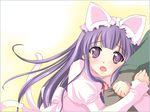  animal_ears artist_request cat_ears hazuki_(tsukuyomi) long_sleeves solo tsukuyomi_moonphase 