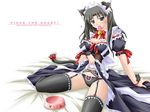  akimoto_dai animal_ears apron arm_support bed bell black_dress black_hair black_legwear black_panties blue_eyes blush bow bow_panties bowl bracelet breasts cat_ears cat_tail condom condom_in_mouth condom_wrapper corset covered_nipples dress dress_lift fate/stay_night fate_(series) frills garter_belt heart jewelry jingle_bell lace lace-trimmed_panties lace-trimmed_thighhighs leaning_back lingerie maid maid_headdress medium_breasts mouth_hold panties pet_bowl ribbon sitting solo tail tail_ribbon thighhighs toosaka_rin underwear wallpaper 
