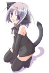  :d animal_ears cat_ears grey_hair itachi_chimaki open_mouth original purple_eyes short_hair smile solo tail thighhighs 