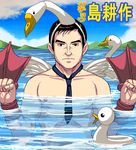  bad_id bad_pixiv_id bird flippers kachou_shima_kousaku male_focus masao necktie parody pun shima_kousaku solo swan upper_body water wings 