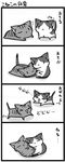 cat cat_focus comic copyright_request greyscale mitsuki_hina monochrome no_humans translated 