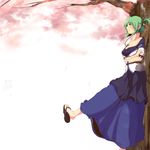  against_tree alternate_costume alternate_hairstyle aruu_(memories) bad_id bad_pixiv_id breasts cherry_blossoms cleavage crossed_arms green_eyes green_hair hair_ornament hairclip highres kochiya_sanae large_breasts profile sandals shoe_dangle short_hair solo touhou tree 