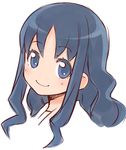  blue_eyes blue_hair face ha-ru heartcatch_precure! kurumi_erika long_hair precure sketch smile solo 