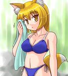  bikini blonde_hair lowres sasuke_(sasuke_no_sato) solo swimsuit touhou yakumo_ran 